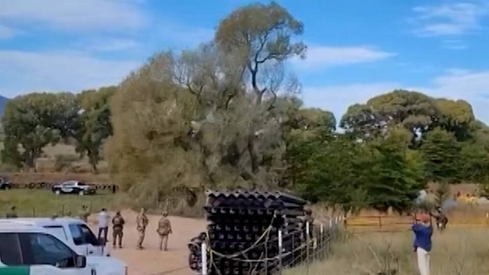 HL11-Tree
